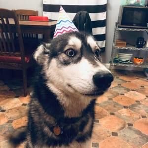 Meet your Posher, Rin